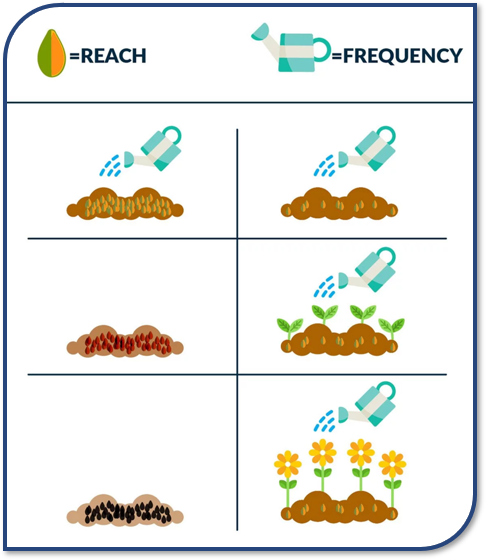 reach frequency seeds